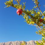 باشگاه کوهنوردی کوه سرخ گلستان شیراز