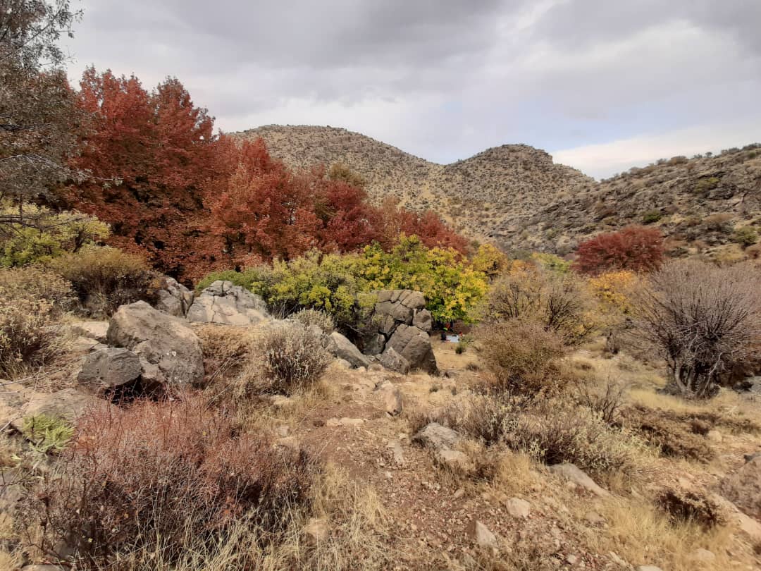 باشگاه کوه سرخ گلستان شیراز